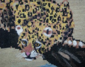 leopard detail